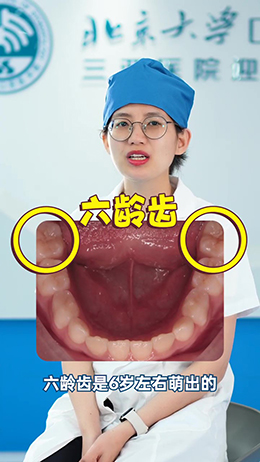 什么是六龄齿?