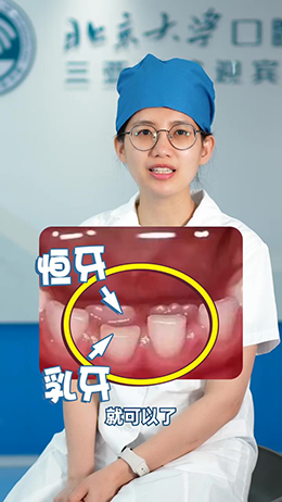 一分钟教你辨别乳牙和恒牙